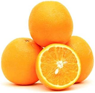 CITRUS 300 - 360G